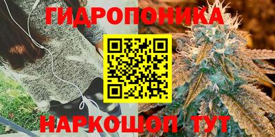 хмурый Донской