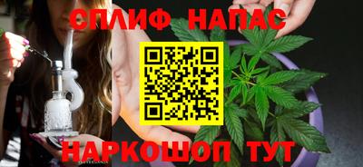 jwh Дубна