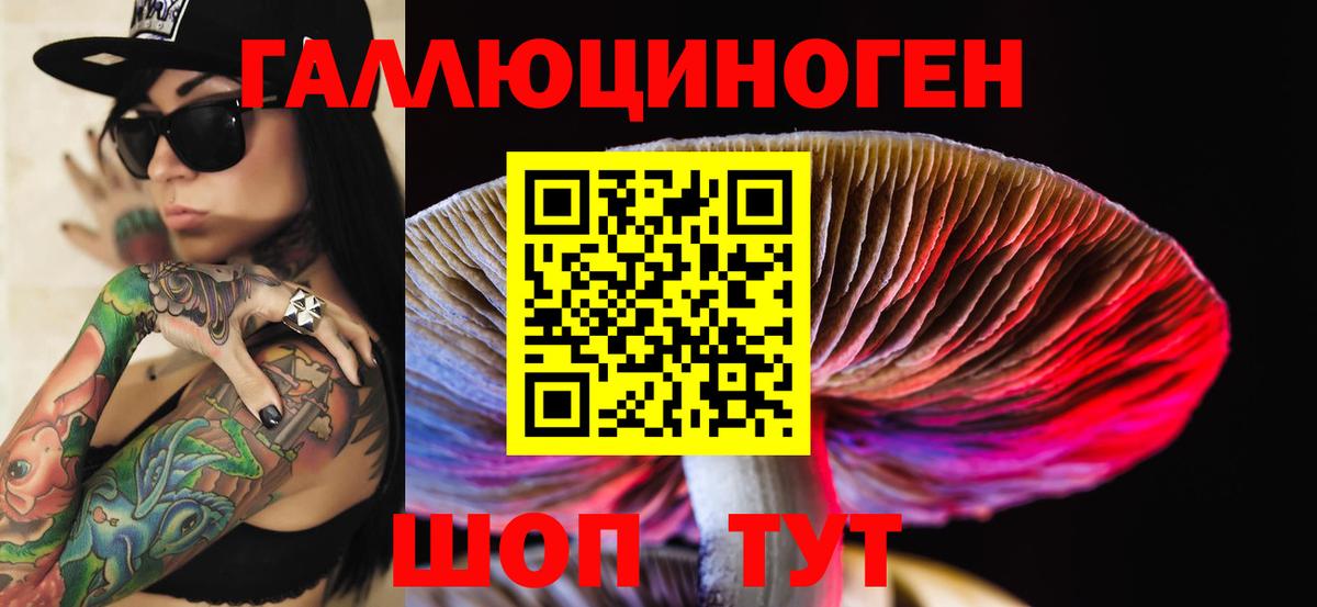 Оренбург  Псилоцибиновые грибы ЛСД  Галлюциногенные грибы GOLDEN TEACHER  магазин    Вход с VPN 